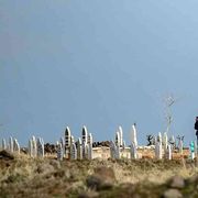 Le famiglie: «Verità e giustizia per gli 8.143 spariti in Siria»