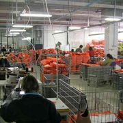 Resilienza e sostenibilità: così le cooperative superano la pandemia