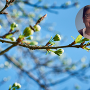 Lʼattesa educativa di nuovi germogli