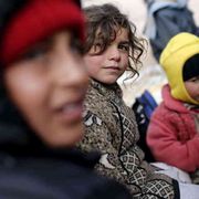 Siria, si muore anche per un fungo. Ma non perché è velenoso