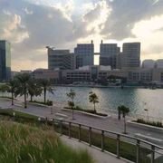 Emirati Arabi, dalle armi alla cooperazione