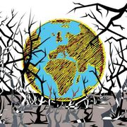 L'alleanza per studiare la finanza sostenibile