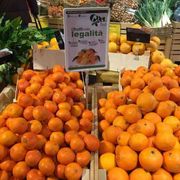 Il Pnrr riconosce la capacità trasformativa del Terzo settore