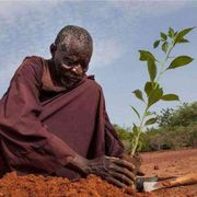 La tenacia di Sawadogo, l’uomo che ha salvato i frutti della sua terra