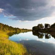 Così il lockdown ha dato sollievo all'ambiente