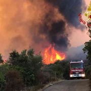 Imparando a salvare i boschi salviamo noi stessi