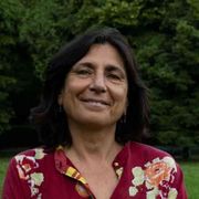 Green windows, finestre di opportunità: il caso cinese e i Paesi emergenti