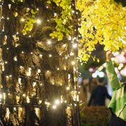 A Tokyo il mistero del Covid scomparso: in 3 mesi i contagi si sono azzerati