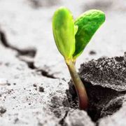 Con le vittime e per la pace una resistenza nonviolenta