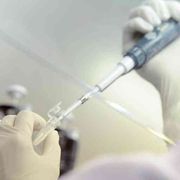 D’Agostino: la persona è la chiave per una bioetica della tecno-scienza