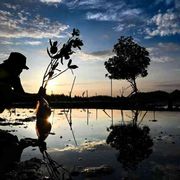 Il ritorno del «Club di Roma»: si fermi lo sterminio del futuro