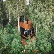 Antropocene: che cosa chiede Dio all'uomo?