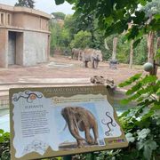 Inaugurato l'itinerario "Animali della Bibbia" al Bioparco di Roma
