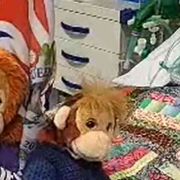 Archie e le nostre domande tra bioetica, coscienza e realtà