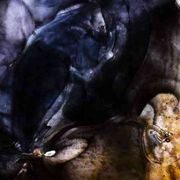 Nelle vetrate di Leonardo Nava l'esperienza della Genesi