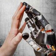 Crescerà mai un albero digitale della conoscenza del bene e del male?