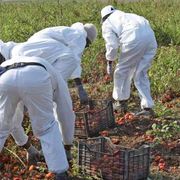 Contro lo sfruttamento del lavoro serve anche l'aiuto dei consumatori