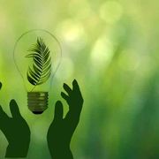 Le aziende cercano manager specializzati nella transizione ecologica
