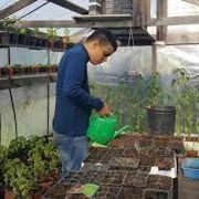 Incentivi a chi assume lavoratori con disturbi autistici