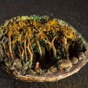 Piccolo è bello e apre il cuore in Dio