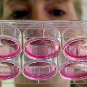 Vita, povertà e mercato dei farmaci: tre sfide per il Comitato di bioetica