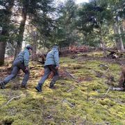 Andrea Papi, il runner trovato morto nel bosco. «Forse ucciso da un orso»