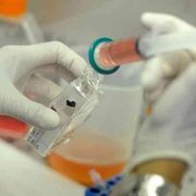 Spagna, il«supermarket» degli ovociti in Europa