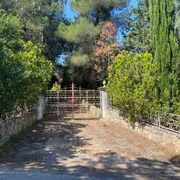 Padre investe la figlia di 54 anni e la uccide: fermato per omicidio