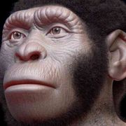 Nelle grotte della Stella nascente i primi “disegni” dell’umanità?