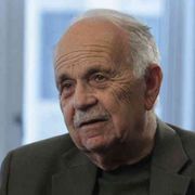 Stanley Fish: «L'IA ha un senso solo se glielo diamo noi»