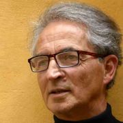 La democrazia diventa tifocrazia