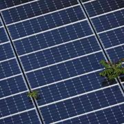 Il boom dei Ppa, così le imprese congelano le bollette