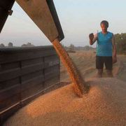 Mykolaiv, la città del grano è in ginocchio
