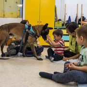 La pet therapy per gli hikikomori. Così cani e gatti aiutano le famiglie