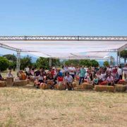 Dare un senso al proprio lavoro