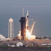 I linfociti vanno in orbita. Per colpire meglio i tumori