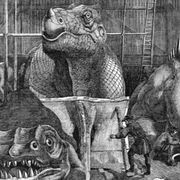 Così i dinosauri cambiarono la storia della scienza