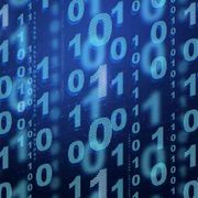 Il tifo da stadio per le guerre è rivelatore di un cervello primitivo