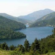 Pellegrini a due passi da casa, cercando la strada e la vita