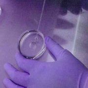 Embrioni, eterologa, spese di conservazione: le nuove regole del Ministero