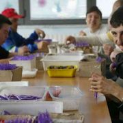 Da Treviso a Cuneo, i progetti delle diocesi che fanno già bene alle persone