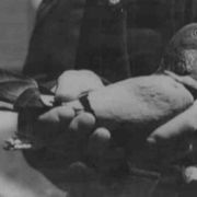 D-Day, in prima linea finirono perfino i piccioni. E furono medagliati