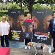 "Le scuse sono finite": il Campidoglio contro l'abbandono degli animali