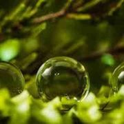 Green Deal alla prova della nuova Ue