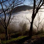 I Colli Euganei entrano nel patrimonio della biosfera Unesco