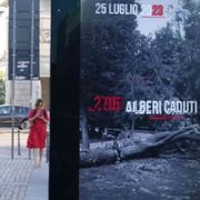 Un anno dopo la tempesta Milano ha “ritrovato” 5mila alberi