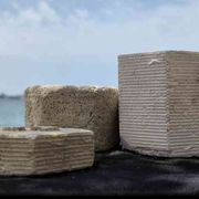 Dai gusci delle cozze si fa un cemento ecosostenibile