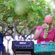 Nei Paesi ricchi il 13% dei lavoratori ha problemi per il troppo caldo