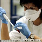 L'aviaria sorvegliata speciale. La sfida di evitare una nuova pandemia