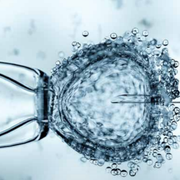 Procreazione artificiale: la vita si dona o si "possiede"?